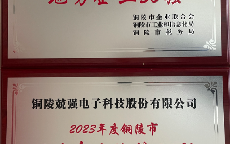 我公司榮獲2023年度銅陵市“地方企業(yè)50強(qiáng)”“地方企業(yè)納稅30強(qiáng)”兩項榮譽(yù)